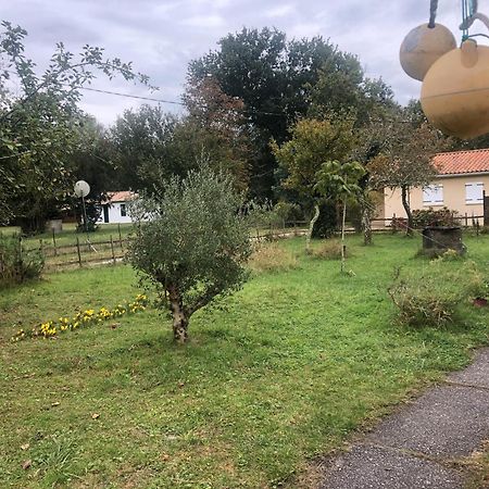 Petite Maison De Pays Hourtin Extérieur photo