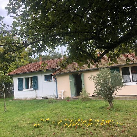Petite Maison De Pays Hourtin Extérieur photo