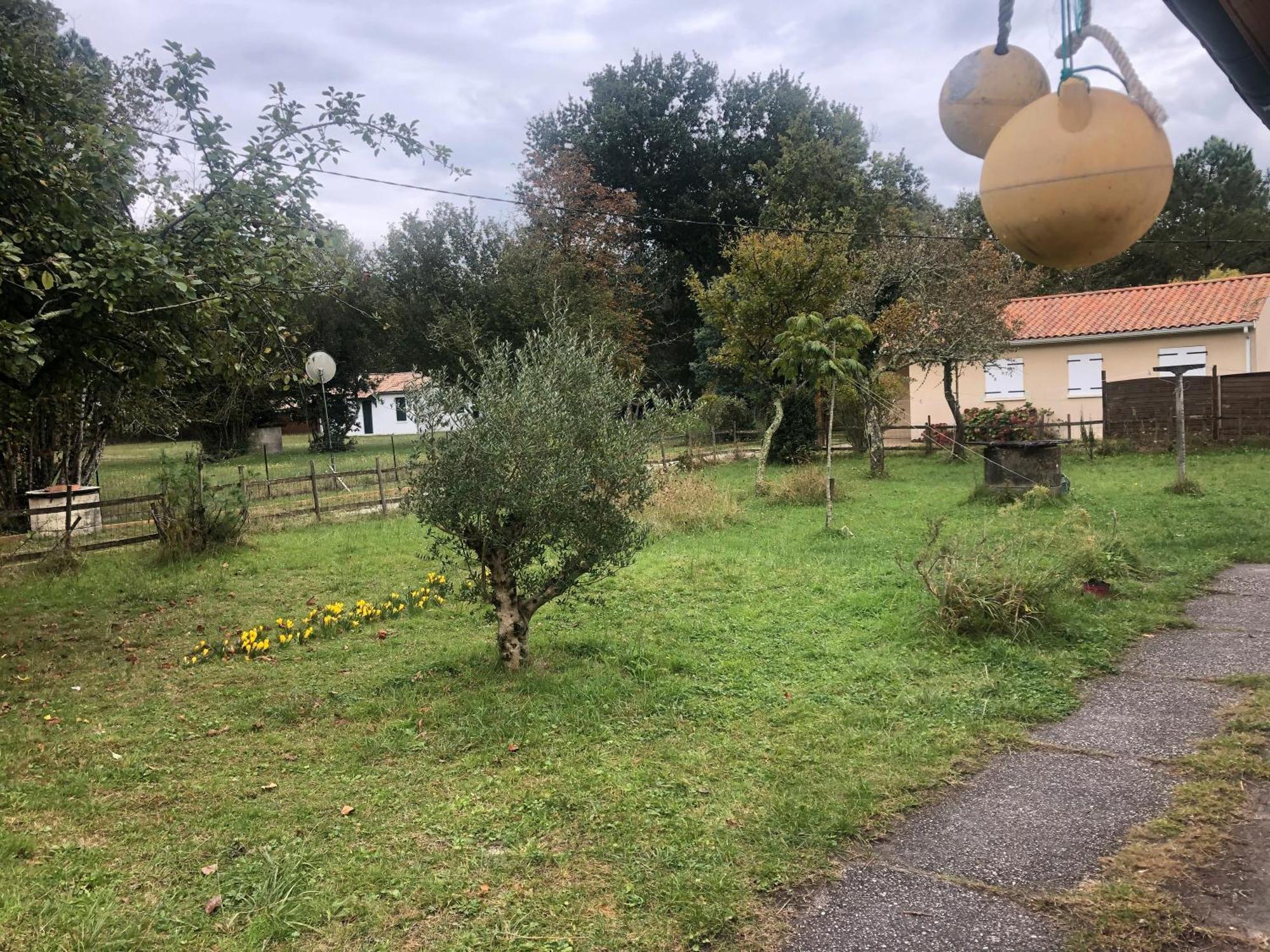 Petite Maison De Pays Hourtin Extérieur photo